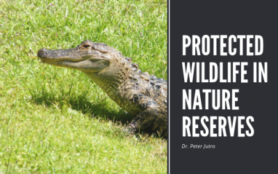 Protected Wildlife in Nature Reserves