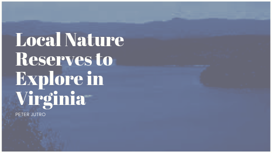 Local Nature Reserves to Explore in Virginia