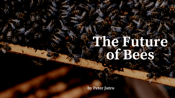 The Future of Bees