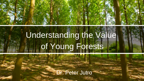 Understanding the Value of Young Forests