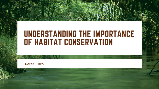 Understanding the Importance of Habitat Conservation